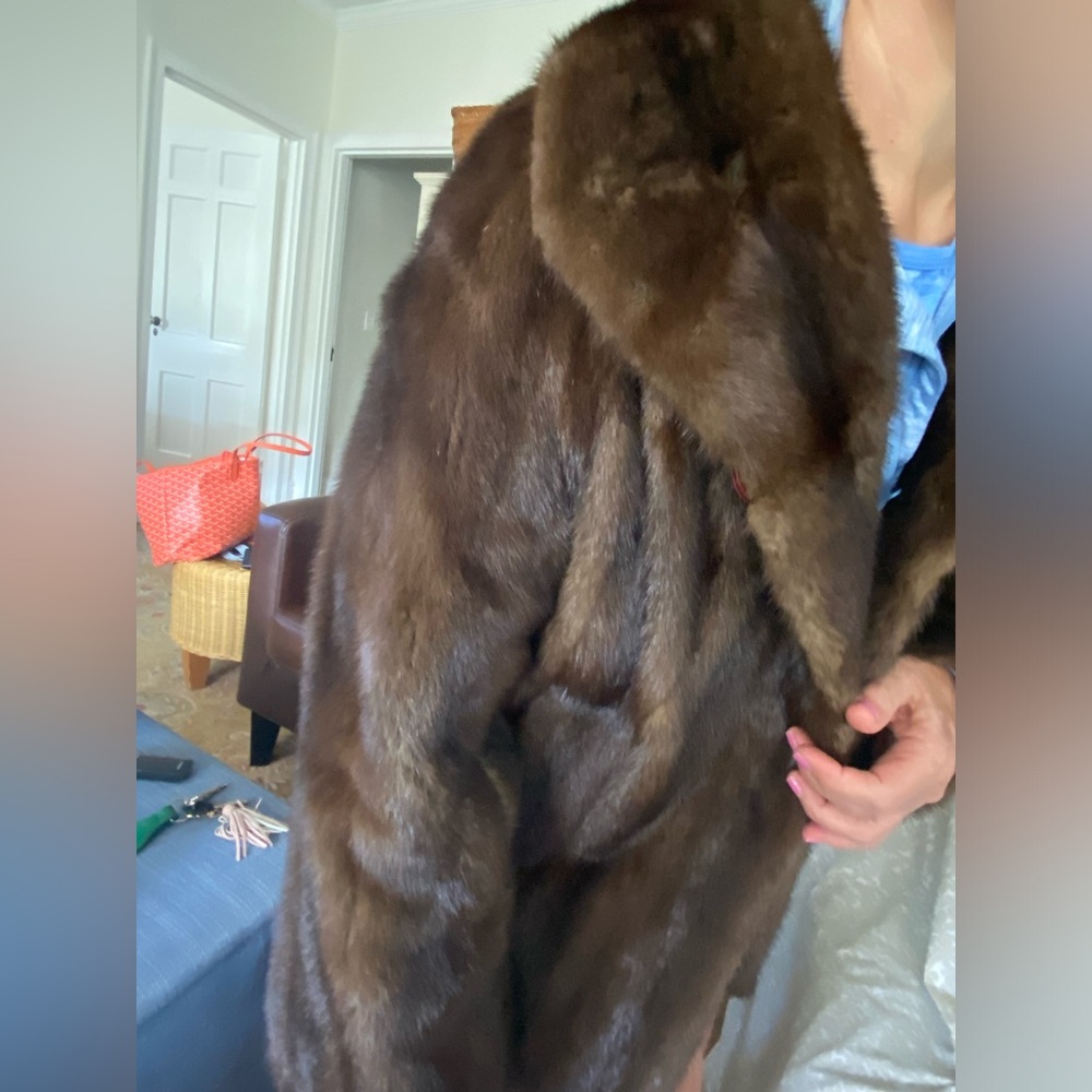CHOCOLATE BROWN MINK - Picture 8 of 16